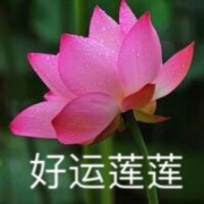 日韩股市集体高开 日经指数上涨1.5%